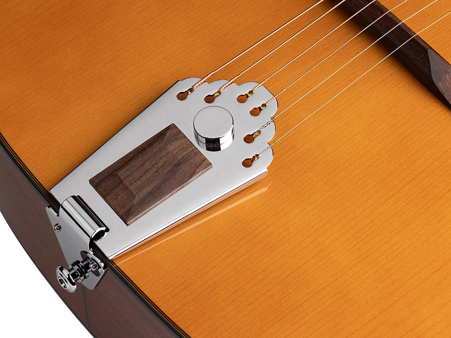 Richwood Hot Club Gypsy Jazz Guitar