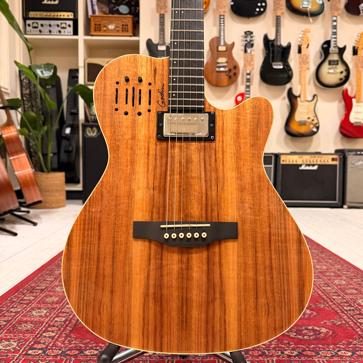 Godin A6 Ultra Electric Guitar - Koa - Preowned