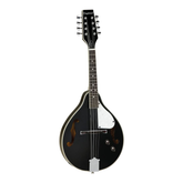 Tanglewood TWM T BKP E Mandolin- Black Gloss