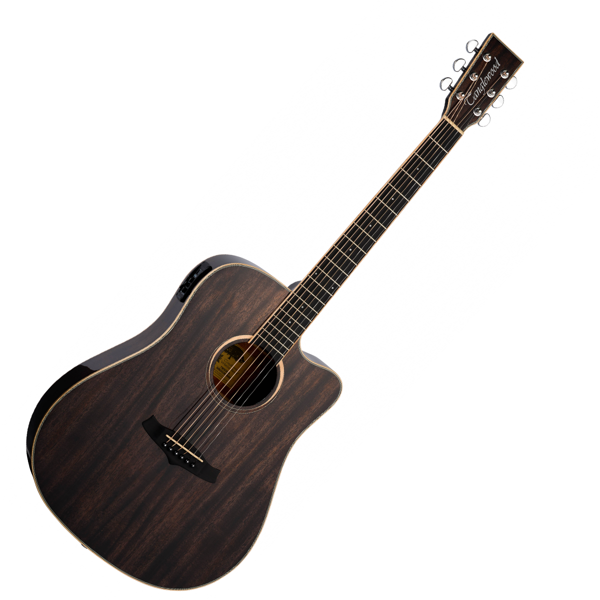Tanglewood TW5CEBS Winterleaf Series Dreadnought - Black Shadow Gloss
