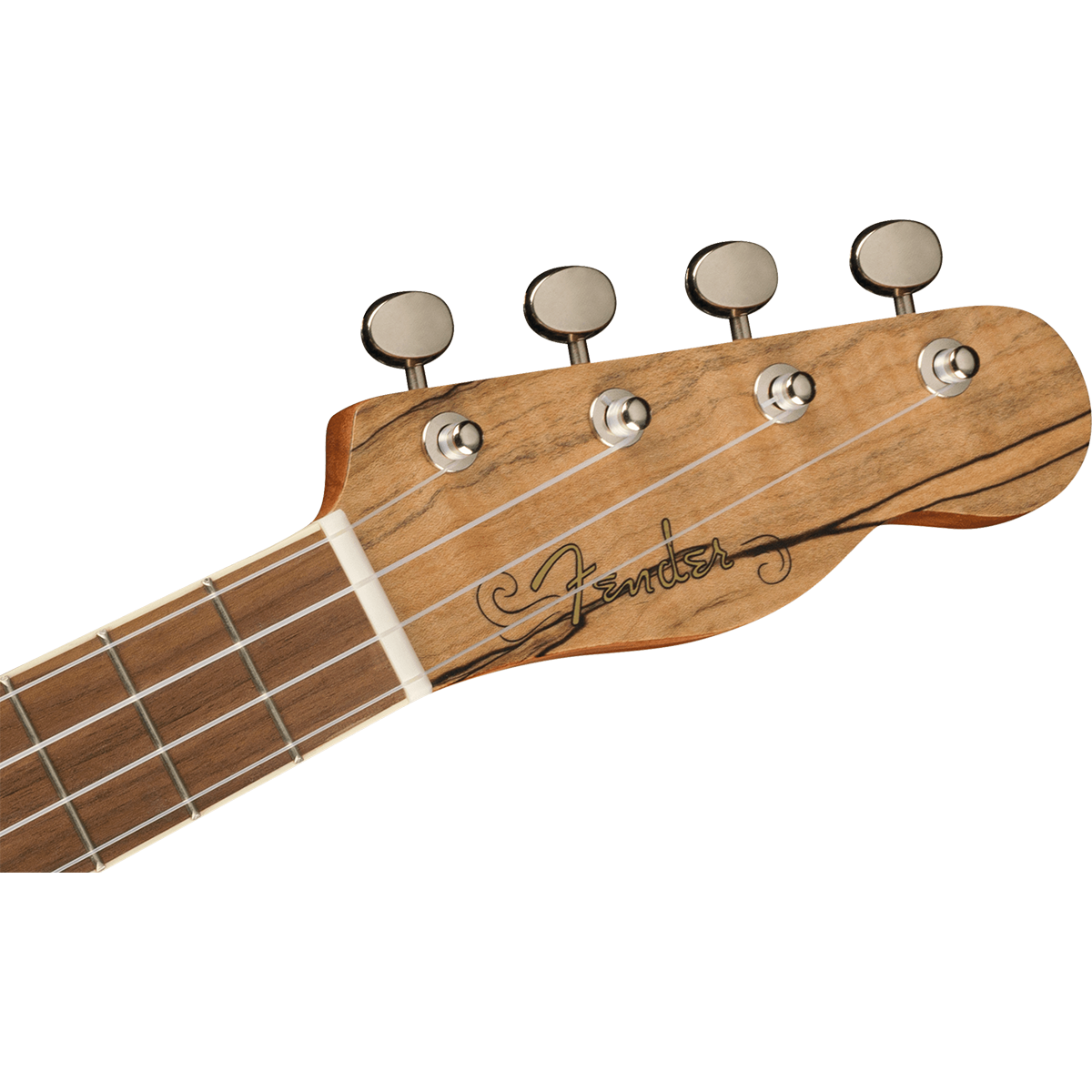 Fender Zuma Exotic Concert Ukulele - Walnut Fingerboard - Spalted Maple