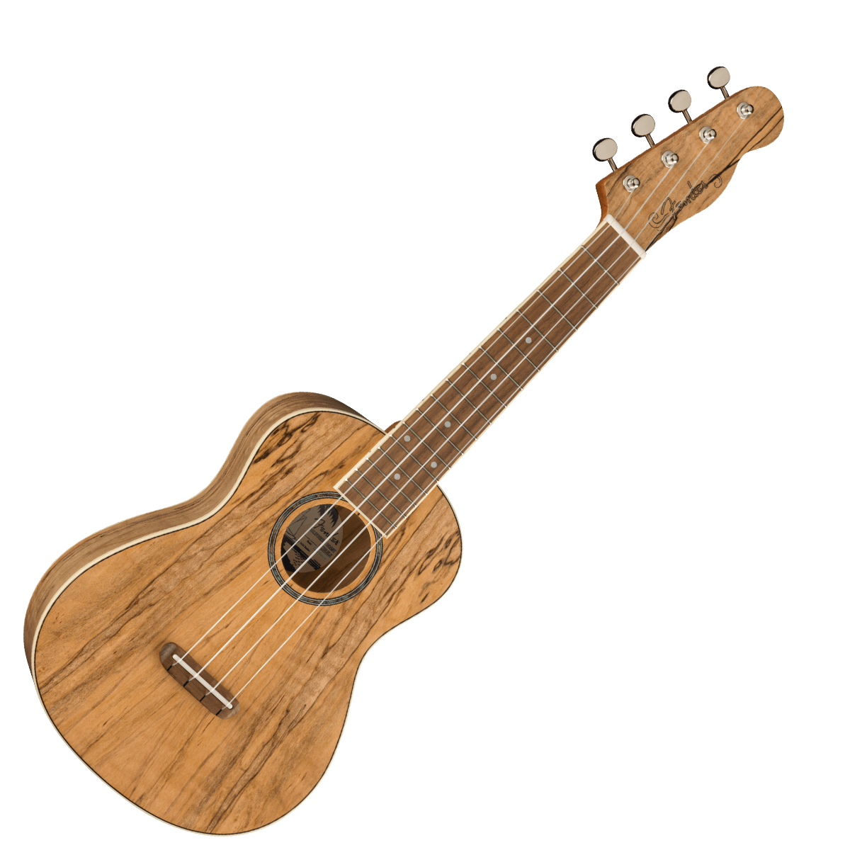 Fender Zuma Exotic Concert Ukulele - Walnut Fingerboard - Spalted Maple