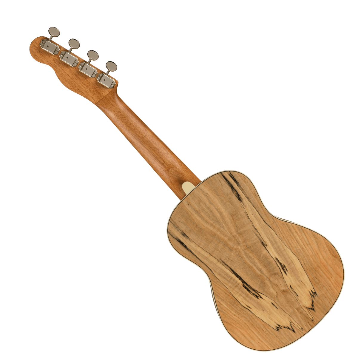 Fender Zuma Exotic Concert Ukulele - Walnut Fingerboard - Spalted Maple