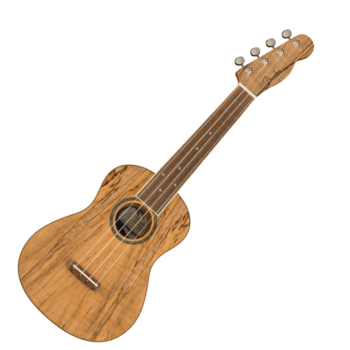 Fender Zuma Exotic Concert Ukulele - Walnut Fingerboard - Spalted Maple