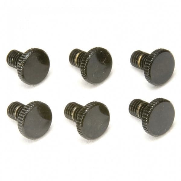 Floyd Rose Fine Tuning Screws (6 Pack)