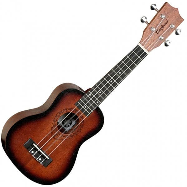 TWT1 Soprano Ukulele All Mahogany with Arched Back - Whisky Barrel Stain