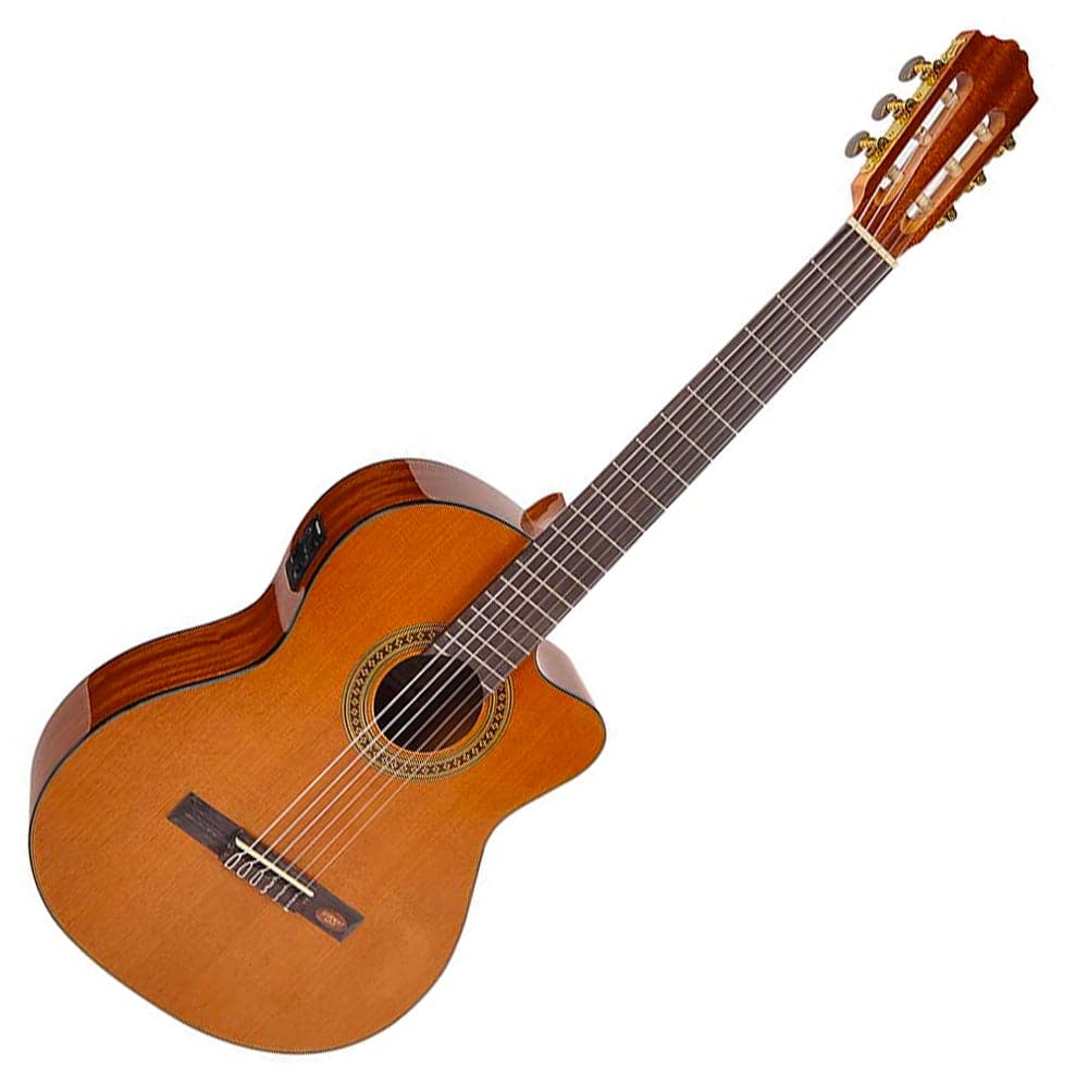 Salvador Cortez CC-10CE Electro Classical Guitar - Natural Gloss