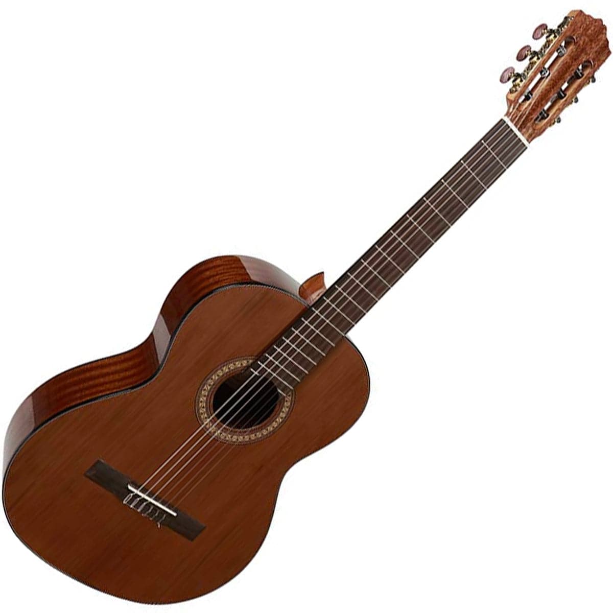 Salvador Cortez CC-21 Artist Series Classical Guitar with Solid Cedar Top - Gloss Natural