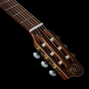 Godin Concert Nylon String Guitar