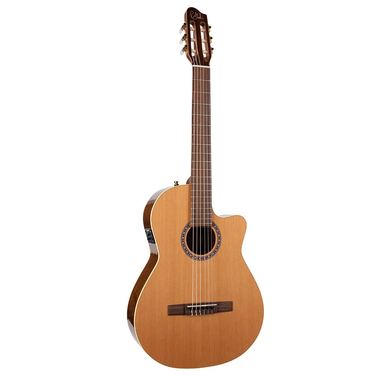 Nylon cutaway guitar deals