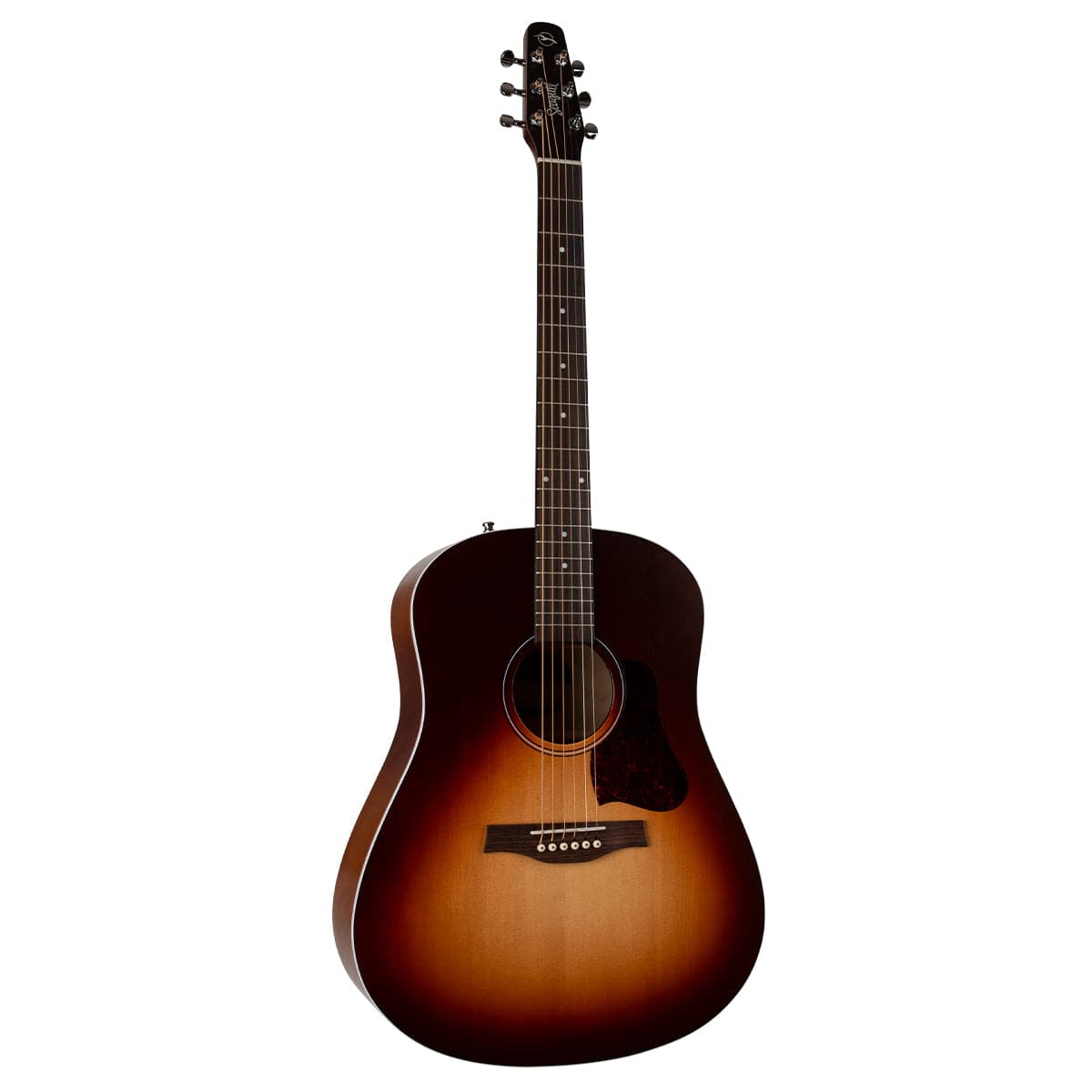 Seagull Entourage Acoustic Guitar