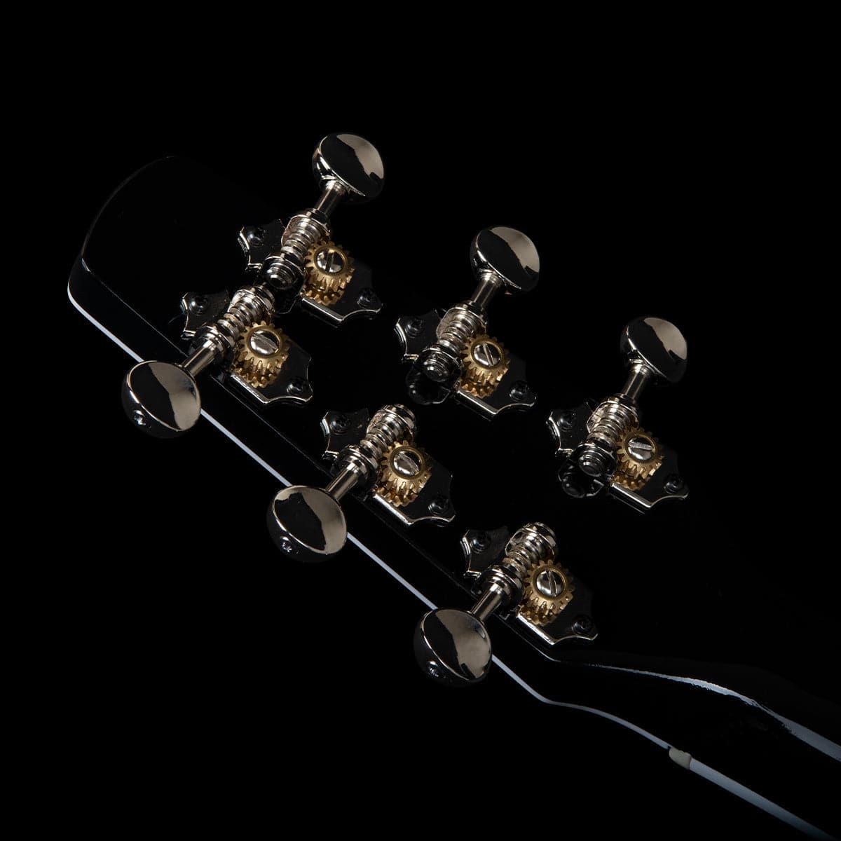 Seagull Artist LTD Electro-Acoustic Guitar