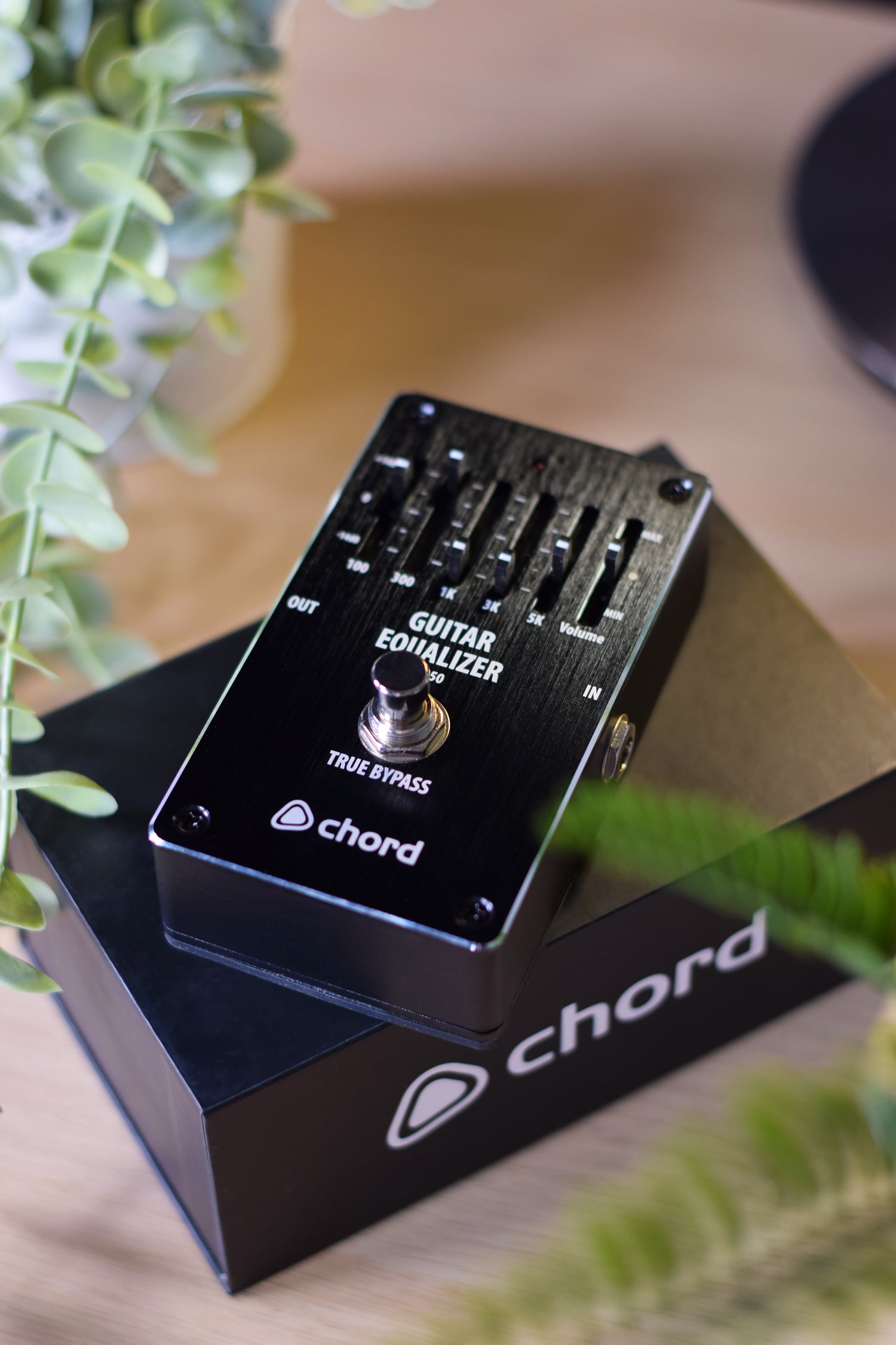 equalizer pedal gitarre Chord EQ-50 5-band Graphic EQ Pedal