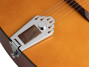 Richwood Hot Club Gypsy Jazz Guitar