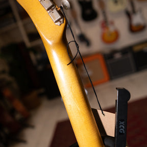 Electric Relic Co. ESQ Electric Guitar - Gold Over Black Paisley