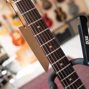 ERC ESQ Style W/Filtertron - Aged Black Over Silver Paisley - Black Back