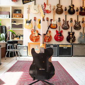 ERC ESQ Style W/Filtertron - Aged Black Over Silver Paisley - Black Back