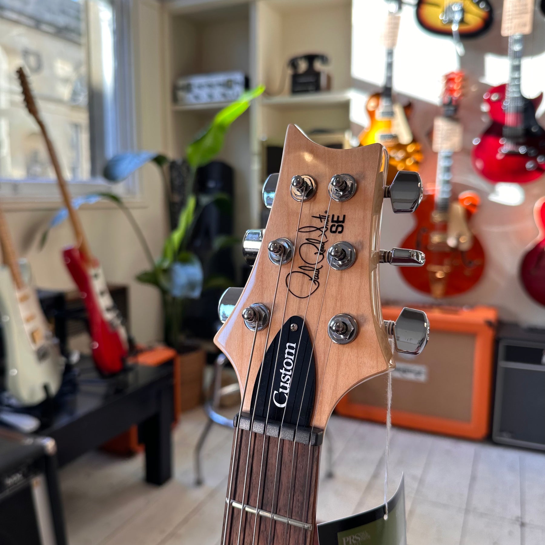 PRS SE Custom 24 Limited Edition - Burled Ash Natural