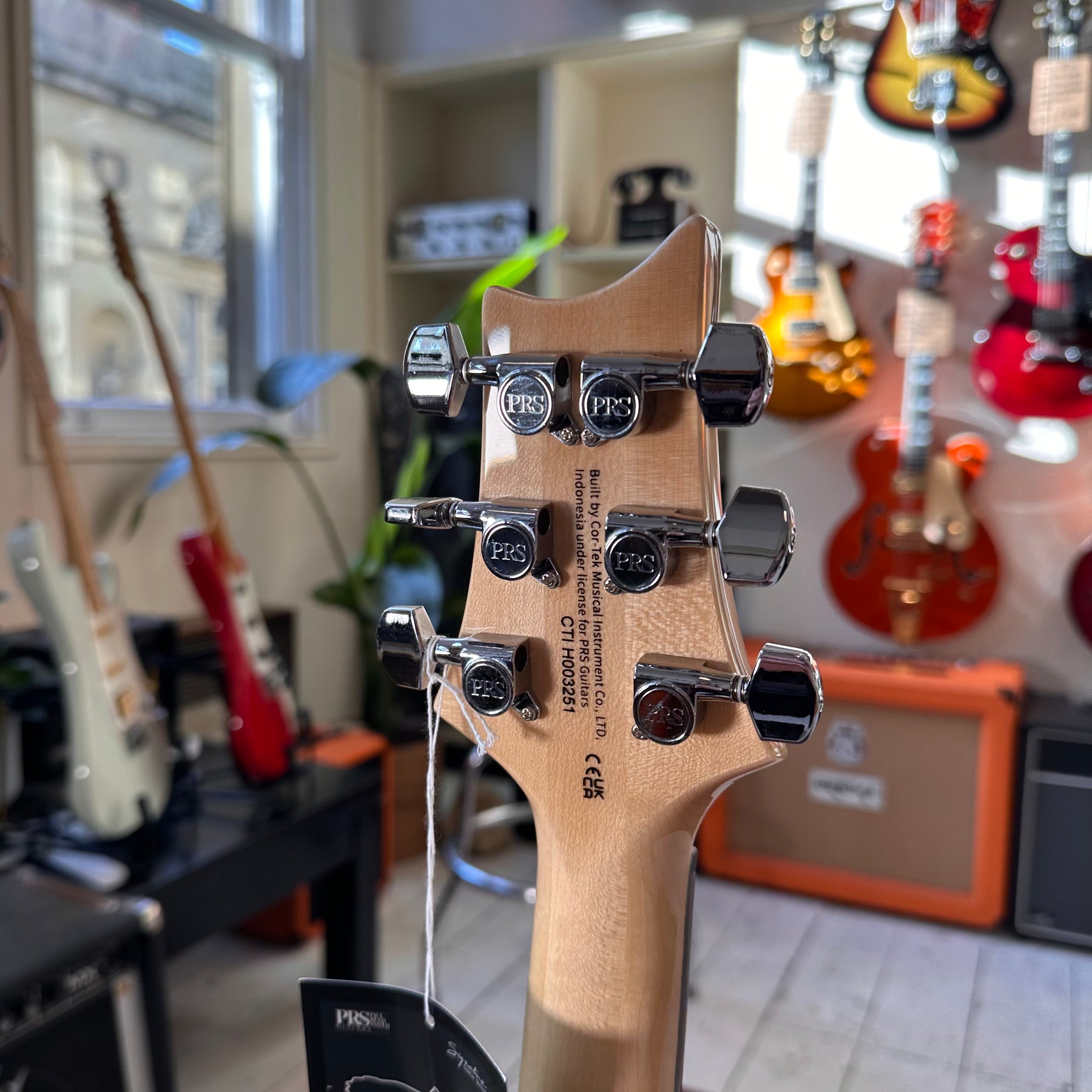 PRS SE Custom 24 Limited Edition - Burled Ash Natural