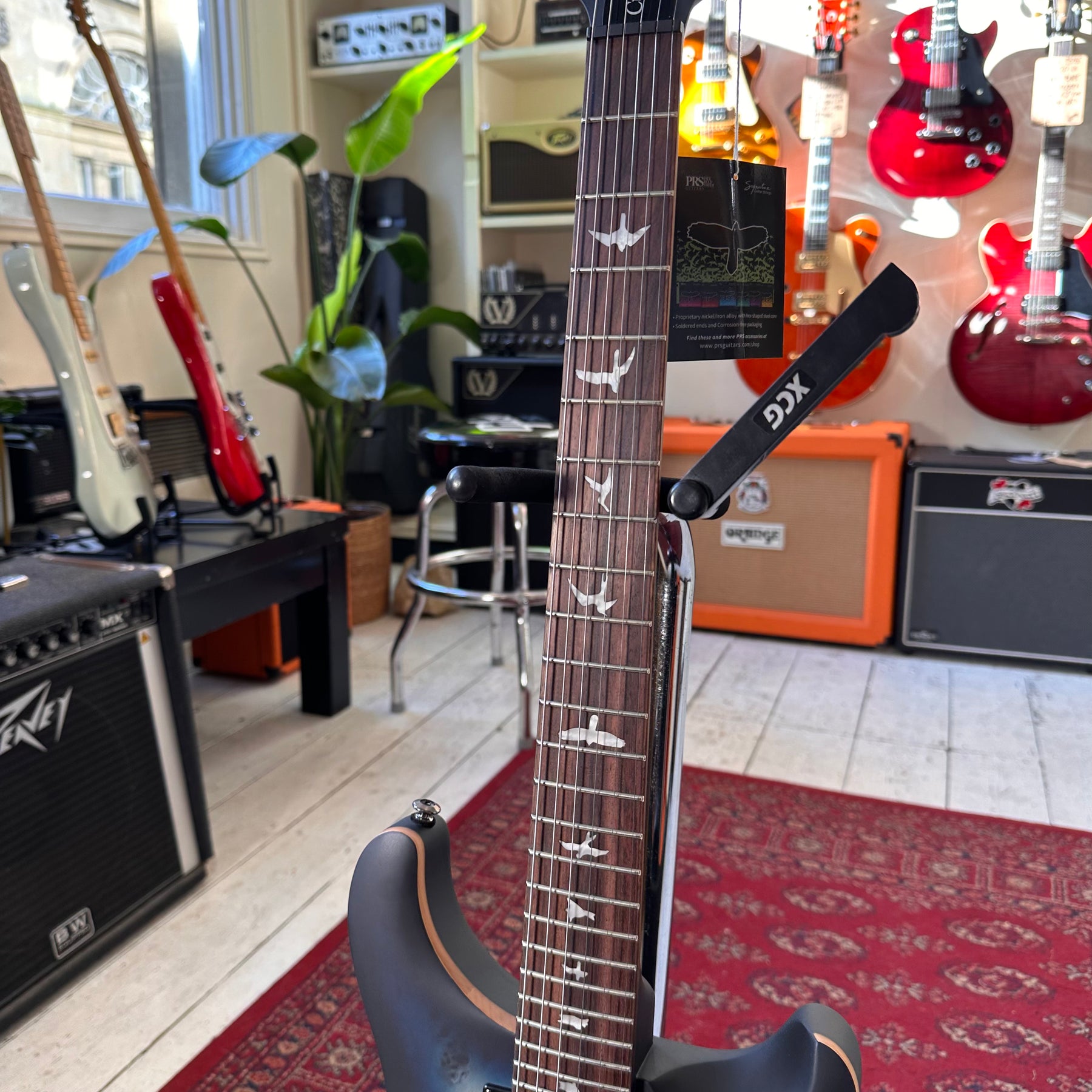 PRS SE Custom 24-08 Limited Edition Poplar Burl - Lake Blue Midnight Burst