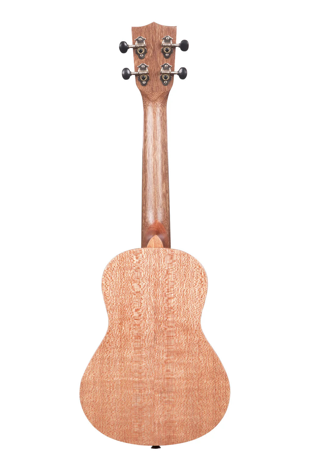 Kala KA-20C Burled Meranti Concert Ukulele