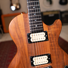 1978 Gibson 'The Paul' with Protector Case - Preowned