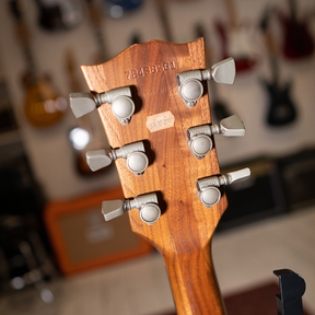 1978 Gibson 'The Paul' with Protector Case - Preowned