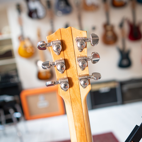 1970's Univox UHS1 Acrylic Dan Armstrong Clone - Hard Case - Preowned