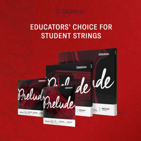 D'Addario Prelude Cello String Set 4/4 Medium Tension