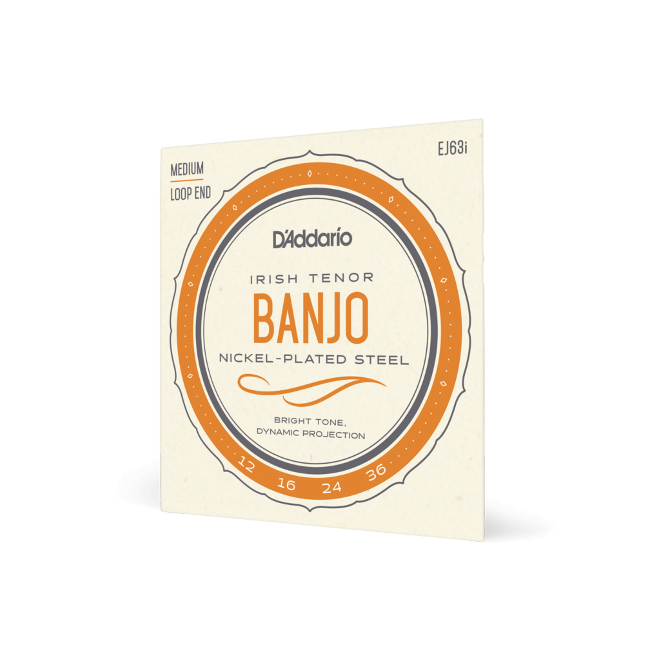 D'Addario EJ63i Irish Tenor Banjo Strings Medium 12-36 - Nickel