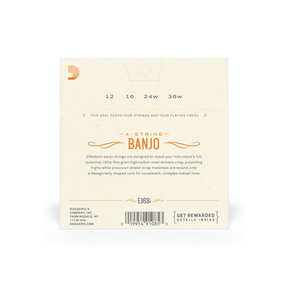 D'Addario EJ63i Irish Tenor Banjo Strings Medium 12-36 - Nickel