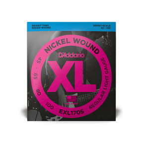 D'Addario 45-100 Regular Light, Short Scale, XL Nickel Bass Strings
