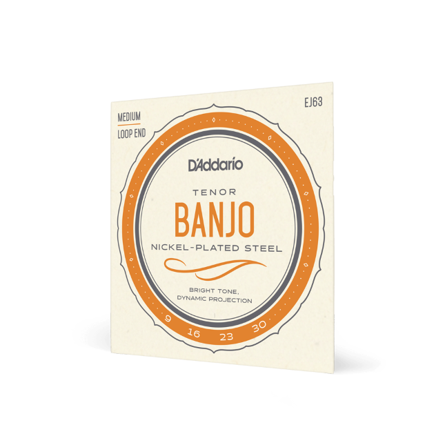 D'Addario Banjo 09-30 Medium 4-String Tenor Nickel