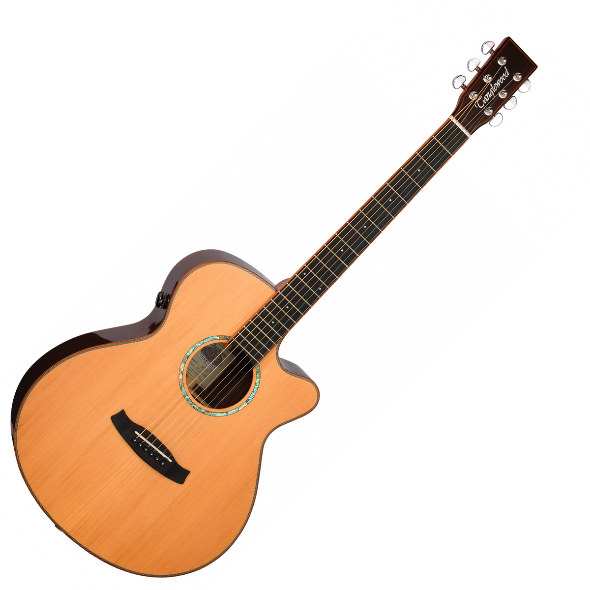 Tanglewood TRS4CE Rosewood Smart Series Electro Acoustic Guitar