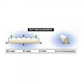 Tusq Nut for Acoustics - 1 3/4" Slotted - Martin Style (PQ-M644-00)