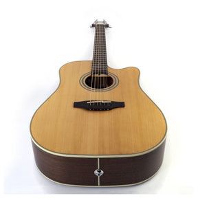 Takamine GD20CE Dreadnought Electro Acoustic - Natural Satin