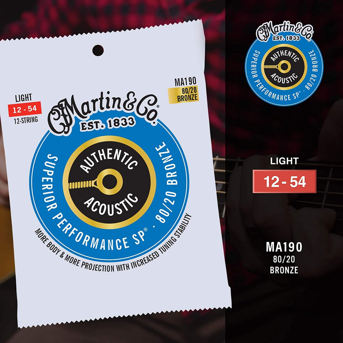 Martin Strings MA190 80/20 Bronze Authentic Acoustic Guitar Strings 12 String Light 12-54