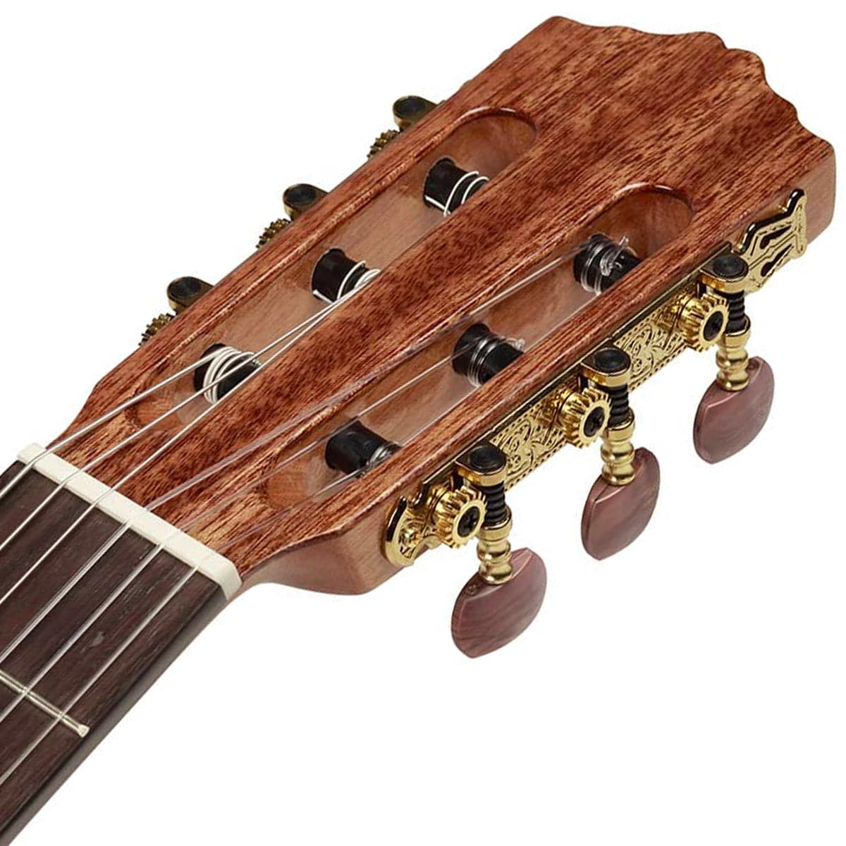 Salvador Cortez CC-21 Artist Series Classical Guitar with Solid Cedar Top - Gloss Natural