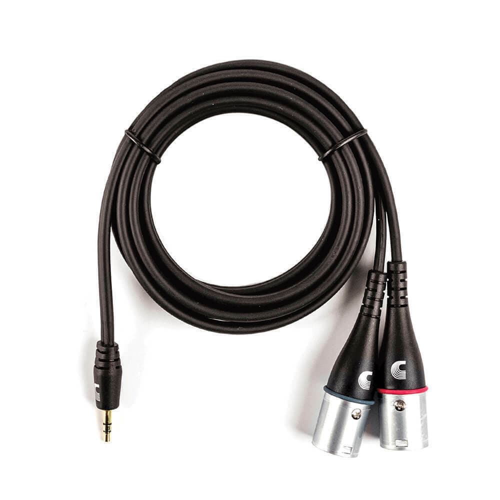 D'addario PW-MPXLR-06 1/8 Inch to Dual XLR Audio Adaptor Cable