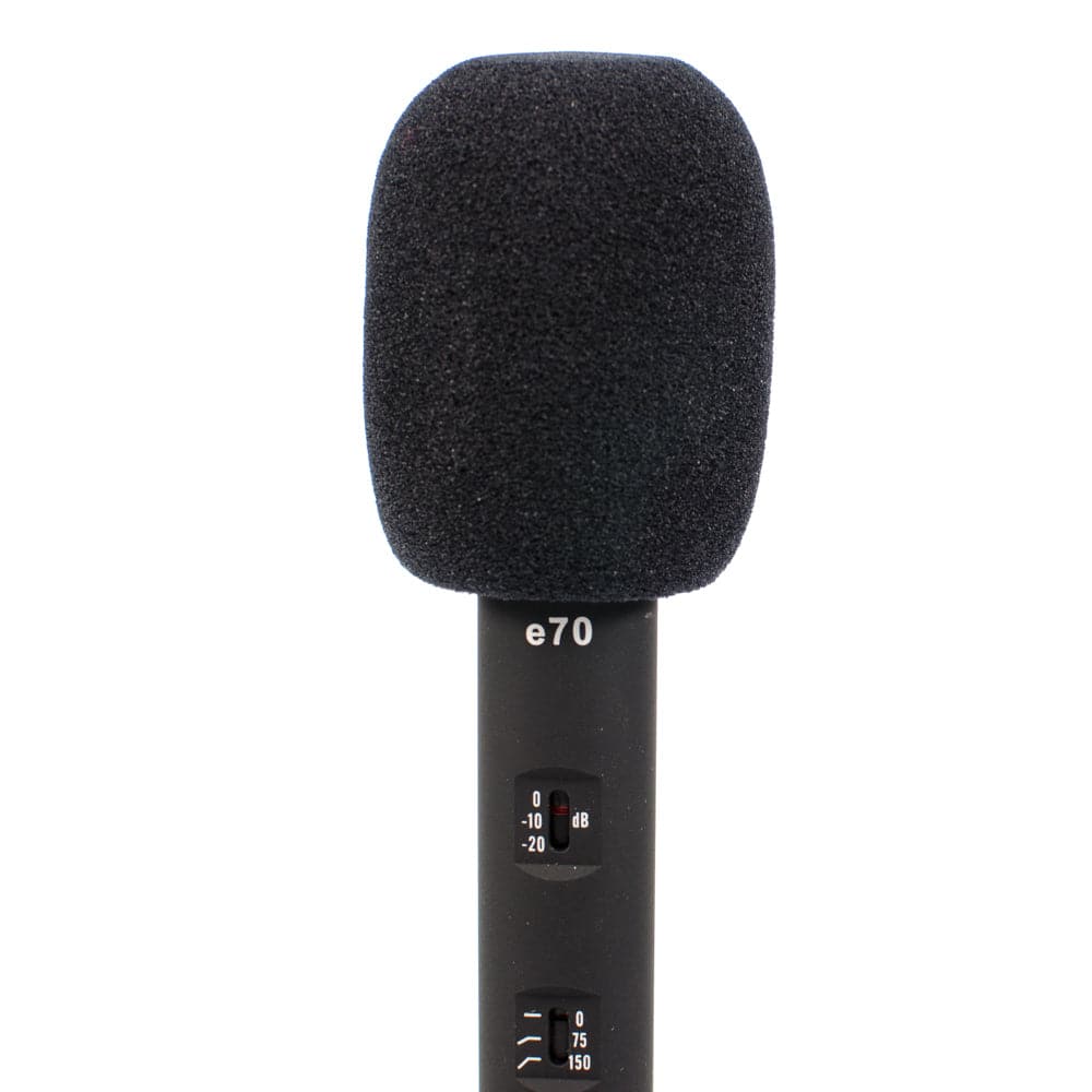 CAD Equitek E70 Dual-Capsule Condenser Microphone