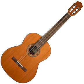 Salvador Cortez CC-22 Artist Series Classical Guitar with Solid Cedar Top - Gloss Natural